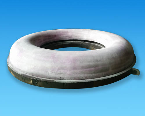 Torus Head