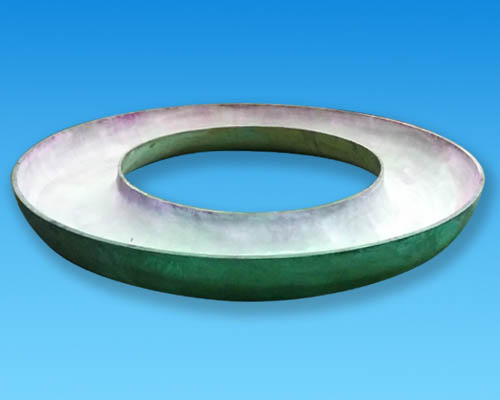 Torus Head