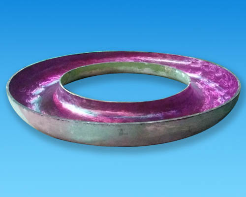 Torus Head